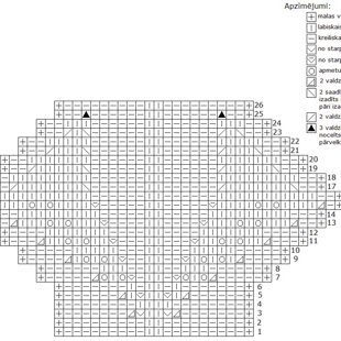 Tehniskais zīmējums rakstam Nr. 23 - Lielās lapas
