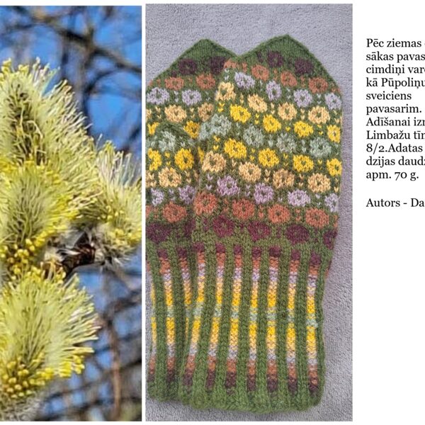 27. Daces R. cimdi ar pūpolu sveicieniem