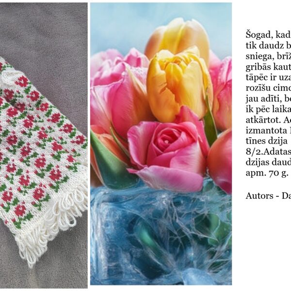 28. Daces R. rozīšu cimdi