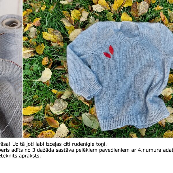 4. Daces pelēkais džemperis