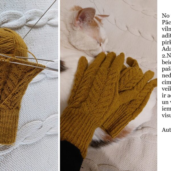 9. Daces pirkstaiņi no Pāces dzijas