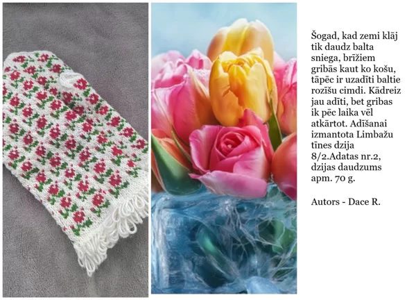 28. Daces R. rozīšu cimdi