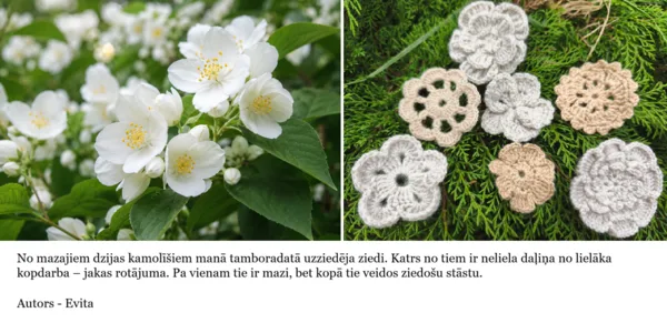 7. Evitas tamborētie ziedi jakas rotāšanai