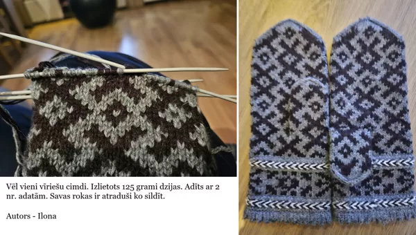7. Vēl vieni Ilonas cimdi