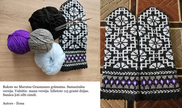 20. Ilonas cimdi